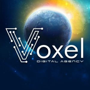 Digital-агентство «Voxel»